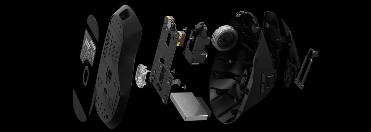 M6-Mouse-Structure__kc_full_9660df9ff5.jpg