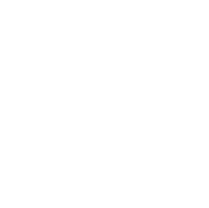 USB-C Wired